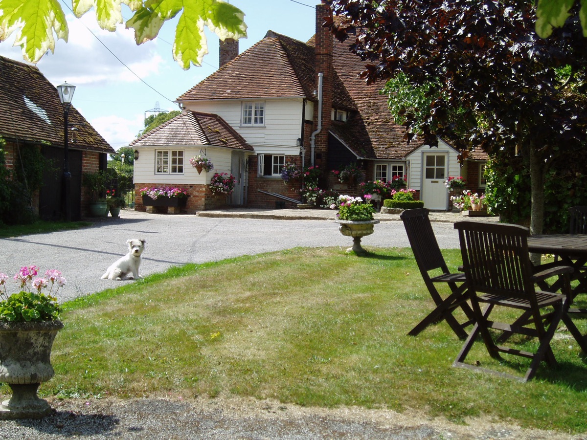 The Grade II listed farmhouse at Goffsland Farm: white weatherboarding, a tiled roof, geraniums in pots along the front and a terrier sitting on the gravel drive